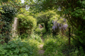 Overgrowth Rescue